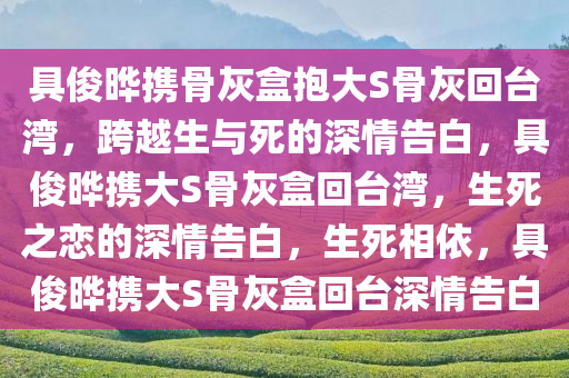 具俊晔携骨灰盒抱大S骨灰回台湾，跨越生与死的深情告白，具俊晔携大S骨灰盒回台湾，生死之恋的深情告白，生死相依，具俊晔携大S骨灰盒回台深情告白
