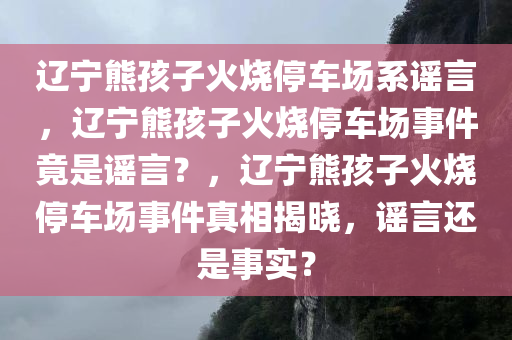 辽宁熊孩子火烧停车场系谣言，辽宁熊孩子火烧停车场事件竟是谣言？，辽宁熊孩子火烧停车场事件真相揭晓，谣言还是事实？