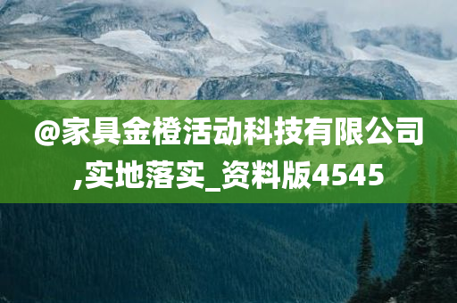 @家具金橙活动科技有限公司,实地落实_资料版4545