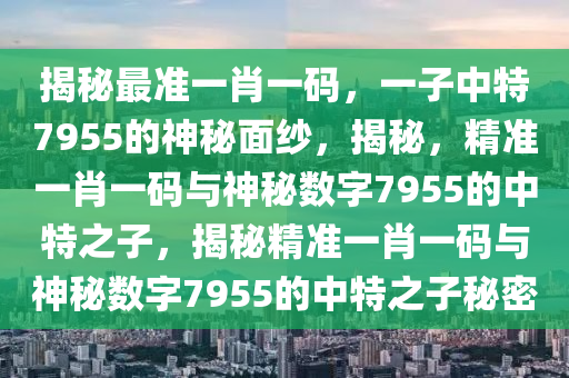 揭秘最准一肖一码，一子中特7955的神秘面纱，揭秘，精准一肖一码与神秘数字7955的中特之子，揭秘精准一肖一码与神秘数字7955的中特之子秘密
