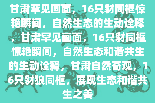 linhuijia 第15页