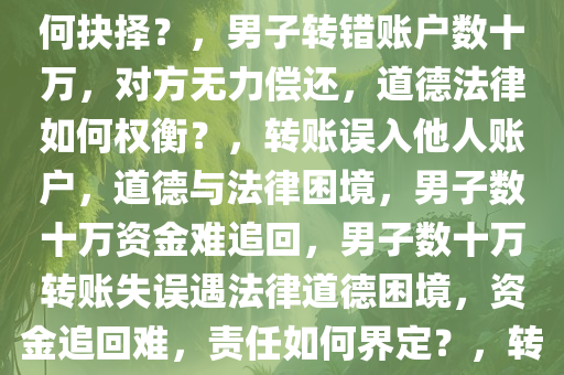 男子转错账户数十万，对方却声称无力偿还，道德和法律如何抉择？，男子转错账户数十万，对方无力偿还，道德法律如何权衡？，转账误入他人账户，道德与法律困境，男子数十万资金难追回，男子数十万转账失误遇法律道德困境，资金追回难，责任如何界定？，转账误入他人账户，道德与法律的双重困境