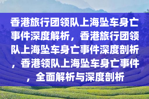 香港旅行团领队上海坠车身亡事件深度解析，香港旅行团领队上海坠车身亡事件深度剖析，香港领队上海坠车身亡事件，全面解析与深度剖析