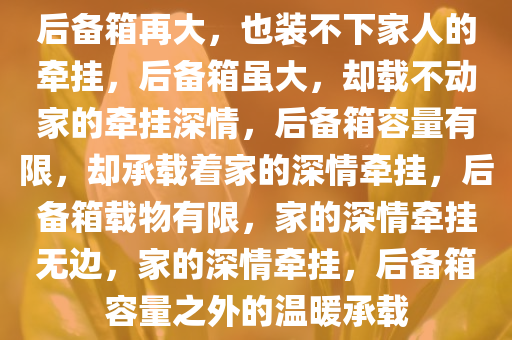 后备箱再大，也装不下家人的牵挂，后备箱虽大，却载不动家的牵挂深情，后备箱容量有限，却承载着家的深情牵挂，后备箱载物有限，家的深情牵挂无边，家的深情牵挂，后备箱容量之外的温暖承载