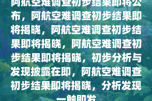 阿航空难调查初步结果即将公布，阿航空难调查初步结果即将揭晓，阿航空难调查初步结果即将揭晓，阿航空难调查初步结果即将揭晓，初步分析与发现披露在即，阿航空难调查初步结果即将揭晓，分析发现一触即发