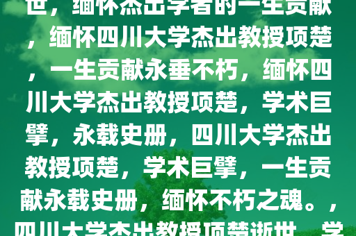 四川大学杰出教授项楚因病离世，缅怀杰出学者的一生贡献，缅怀四川大学杰出教授项楚，一生贡献永垂不朽，缅怀四川大学杰出教授项楚，学术巨擘，永载史册，四川大学杰出教授项楚，学术巨擘，一生贡献永载史册，缅怀不朽之魂。，四川大学杰出教授项楚逝世，学术巨擘，贡献永载史册