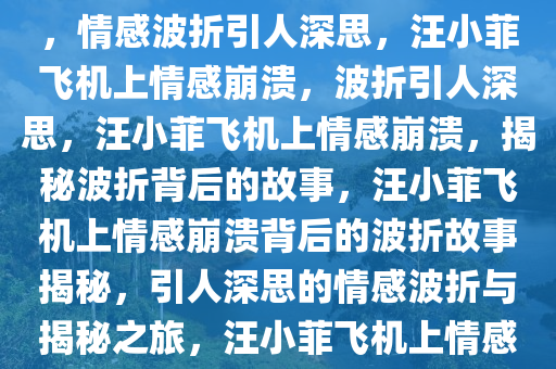 网友爆料，汪小菲飞机上痛哭，情感波折引人深思，汪小菲飞机上情感崩溃，波折引人深思，汪小菲飞机上情感崩溃，揭秘波折背后的故事，汪小菲飞机上情感崩溃背后的波折故事揭秘，引人深思的情感波折与揭秘之旅，汪小菲飞机上情感崩溃，揭秘波折背后的故事