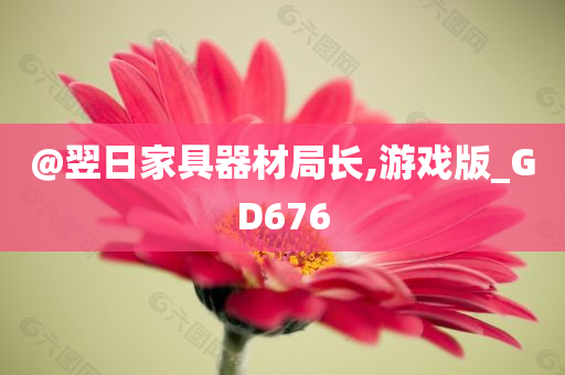 @翌日家具器材局长,游戏版_GD676