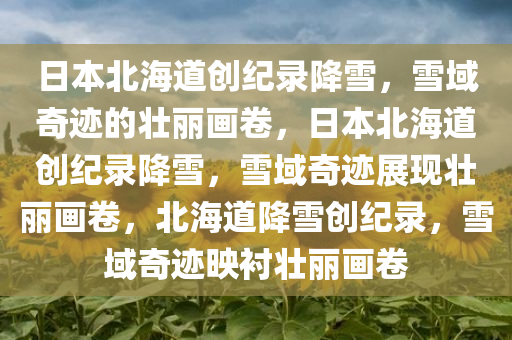 日本北海道创纪录降雪，雪域奇迹的壮丽画卷，日本北海道创纪录降雪，雪域奇迹展现壮丽画卷，北海道降雪创纪录，雪域奇迹映衬壮丽画卷