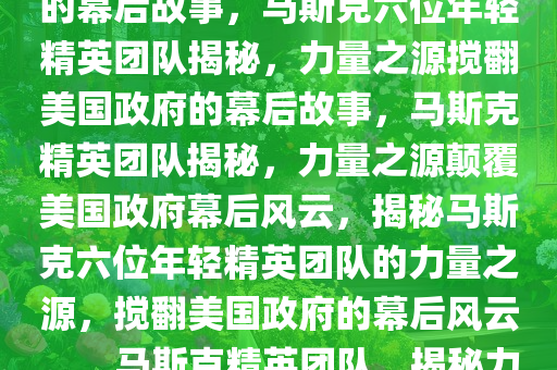 揭秘力量之源，马斯克如何凭借六位年轻精英搅翻美国政府的幕后故事，马斯克六位年轻精英团队揭秘，力量之源搅翻美国政府的幕后故事，马斯克精英团队揭秘，力量之源颠覆美国政府幕后风云，揭秘马斯克六位年轻精英团队的力量之源，搅翻美国政府的幕后风云。，马斯克精英团队，揭秘力量之源与颠覆美国政府的幕后传奇