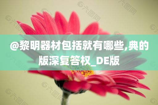 @黎明器材包括就有哪些,典的版深复答权_DE版