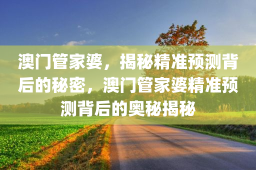 澳门管家婆，揭秘精准预测背后的秘密，澳门管家婆精准预测背后的奥秘揭秘