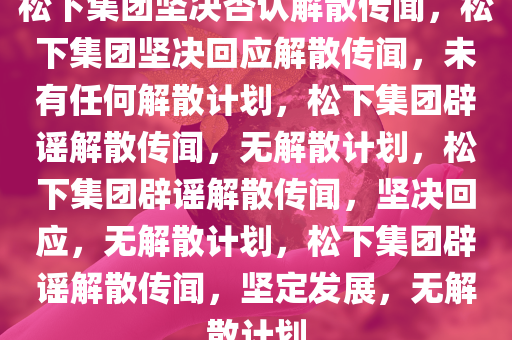 松下集团坚决否认解散传闻，松下集团坚决回应解散传闻，未有任何解散计划，松下集团辟谣解散传闻，无解散计划，松下集团辟谣解散传闻，坚决回应，无解散计划，松下集团辟谣解散传闻，坚定发展，无解散计划