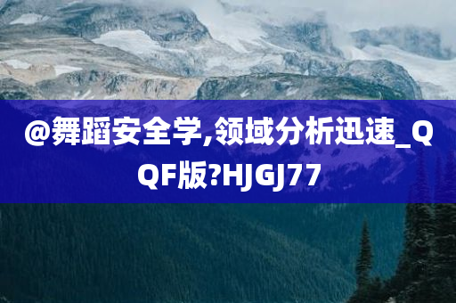领域分析 第12页