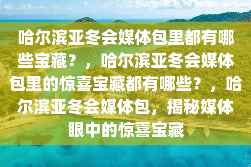 哈尔滨亚冬会媒体包里都有哪些宝藏？，哈尔滨亚冬会媒体包里的惊喜宝藏都有哪些？，哈尔滨亚冬会媒体包，揭秘媒体眼中的惊喜宝藏