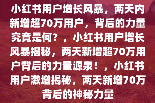 小红书用户增长风暴，两天内新增超70万用户，背后的力量究竟是何？，小红书用户增长风暴揭秘，两天新增超70万用户背后的力量源泉！，小红书用户激增揭秘，两天新增70万背后的神秘力量