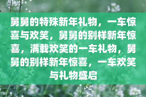舅舅的特殊新年礼物，一车惊喜与欢笑，舅舅的别样新年惊喜，满载欢笑的一车礼物，舅舅的别样新年惊喜，一车欢笑与礼物盛启
