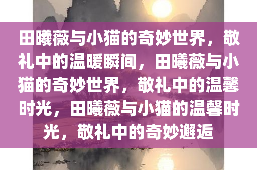 田曦薇与小猫的奇妙世界，敬礼中的温暖瞬间，田曦薇与小猫的奇妙世界，敬礼中的温馨时光，田曦薇与小猫的温馨时光，敬礼中的奇妙邂逅