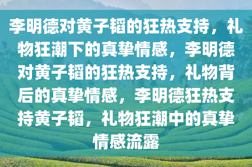 李明德对黄子韬的狂热支持，礼物狂潮下的真挚情感，李明德对黄子韬的狂热支持，礼物背后的真挚情感，李明德狂热支持黄子韬，礼物狂潮中的真挚情感流露
