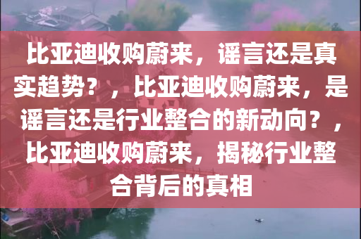 比亚迪收购蔚来，谣言还是真实趋势？，比亚迪收购蔚来，是谣言还是行业整合的新动向？，比亚迪收购蔚来，揭秘行业整合背后的真相