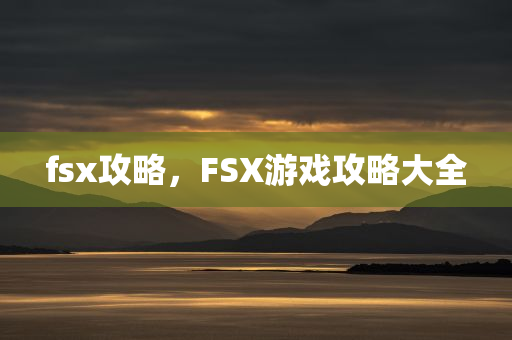 fsx攻略，FSX游戏攻略大全
