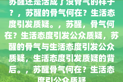 苏醒还是活成了没骨气的样子？，苏醒的骨气何在？生活态度引发质疑。，苏醒，骨气何在？生活态度引发公众质疑，苏醒的骨气与生活态度引发公众质疑，生活态度引发质疑的背后。，苏醒骨气何在？生活态度引公众质疑