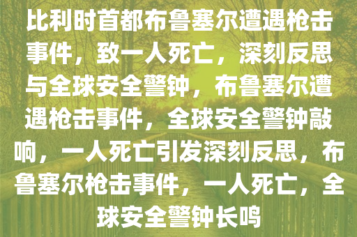 比利时首都布鲁塞尔遭遇枪击事件，致一人死亡，深刻反思与全球安全警钟，布鲁塞尔遭遇枪击事件，全球安全警钟敲响，一人死亡引发深刻反思，布鲁塞尔枪击事件，一人死亡，全球安全警钟长鸣
