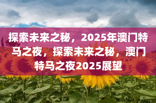 探索未来之秘，2025年澳门特马之夜，探索未来之秘，澳门特马之夜2025展望