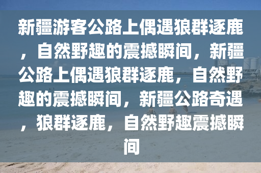新疆游客公路上偶遇狼群逐鹿，自然野趣的震撼瞬间，新疆公路上偶遇狼群逐鹿，自然野趣的震撼瞬间，新疆公路奇遇，狼群逐鹿，自然野趣震撼瞬间