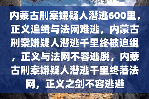 linxinyi 第14页