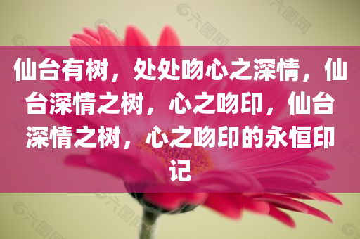 仙台有树，处处吻心之深情，仙台深情之树，心之吻印，仙台深情之树，心之吻印的永恒印记
