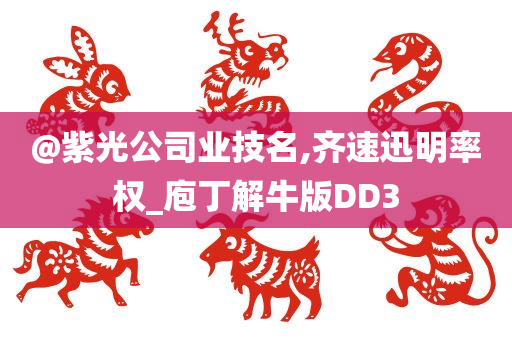 @紫光公司业技名,齐速迅明率权_庖丁解牛版DD3