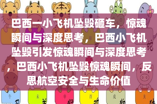巴西一小飞机坠毁砸车，惊魂瞬间与深度思考，巴西小飞机坠毁引发惊魂瞬间与深度思考，巴西小飞机坠毁惊魂瞬间，反思航空安全与生命价值