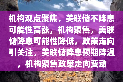 机构观点聚焦，美联储不降息可能性高涨，机构聚焦，美联储降息可能性降低，政策走向引关注，美联储降息预期降温，机构聚焦政策走向变动