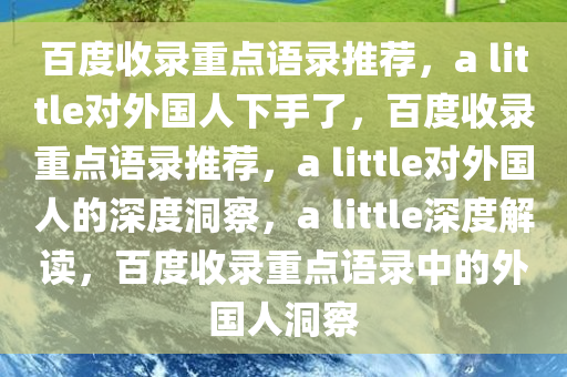 百度收录重点语录推荐，a little对外国人下手了，百度收录重点语录推荐，a little对外国人的深度洞察，a little深度解读，百度收录重点语录中的外国人洞察