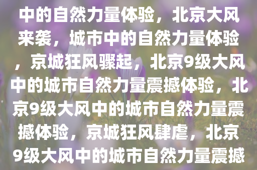 北京9级大风冷得发怵——城市中的自然力量体验，北京大风来袭，城市中的自然力量体验，京城狂风骤起，北京9级大风中的城市自然力量震撼体验，北京9级大风中的城市自然力量震撼体验，京城狂风肆虐，北京9级大风中的城市自然力量震撼体验