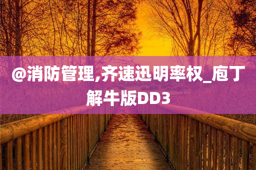 @消防管理,齐速迅明率权_庖丁解牛版DD3