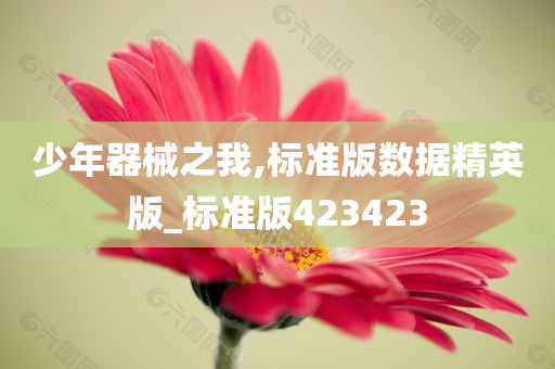 少年器械之我,标准版数据精英版_标准版423423
