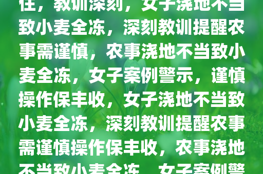 yangjisheng 第15页