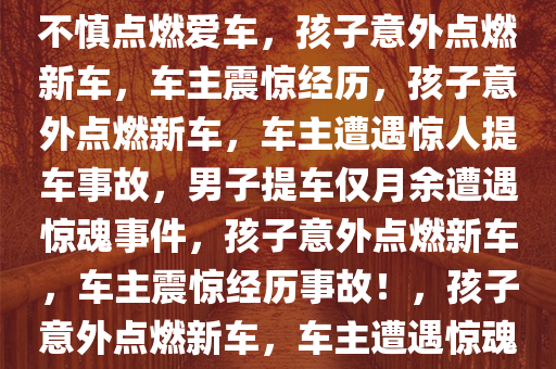 震惊！男子提车仅月余，孩子不慎点燃爱车，孩子意外点燃新车，车主震惊经历，孩子意外点燃新车，车主遭遇惊人提车事故，男子提车仅月余遭遇惊魂事件，孩子意外点燃新车，车主震惊经历事故！，孩子意外点燃新车，车主遭遇惊魂提车事故