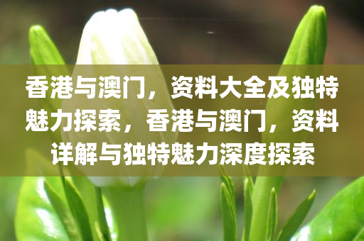 香港与澳门，资料大全及独特魅力探索，香港与澳门，资料详解与独特魅力深度探索