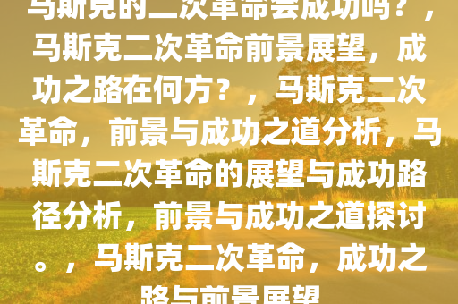 马斯克的二次革命会成功吗？，马斯克二次革命前景展望，成功之路在何方？，马斯克二次革命，前景与成功之道分析，马斯克二次革命的展望与成功路径分析，前景与成功之道探讨。，马斯克二次革命，成功之路与前景展望