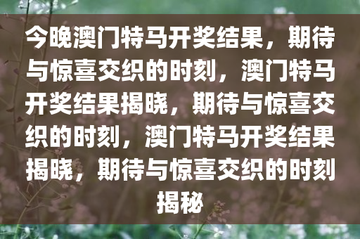 今晚澳门特马开奖结果，期待与惊喜交织的时刻，澳门特马开奖结果揭晓，期待与惊喜交织的时刻，澳门特马开奖结果揭晓，期待与惊喜交织的时刻揭秘