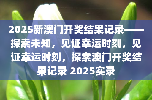 2025新澳门开奖结果记录——探索未知，见证幸运时刻，见证幸运时刻，探索澳门开奖结果记录 2025实录