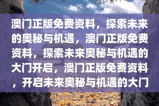 澳门正版免费资料，探索未来的奥秘与机遇，澳门正版免费资料，探索未来奥秘与机遇的大门开启，澳门正版免费资料，开启未来奥秘与机遇的大门