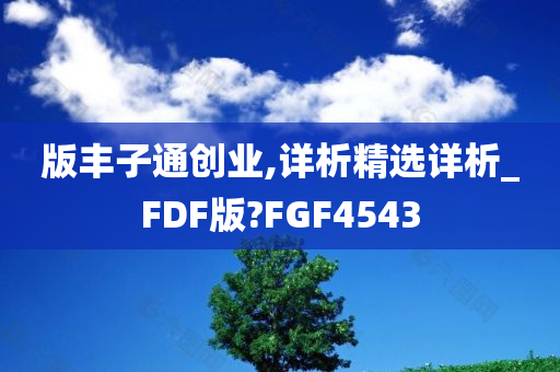 版丰子通创业,详析精选详析_FDF版?FGF4543