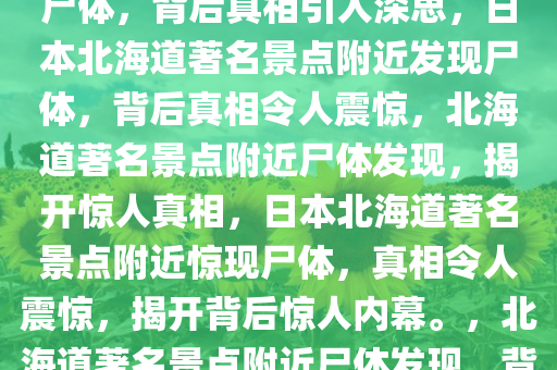 日本北海道著名景点附近惊现尸体，背后真相引人深思，日本北海道著名景点附近发现尸体，背后真相令人震惊，北海道著名景点附近尸体发现，揭开惊人真相，日本北海道著名景点附近惊现尸体，真相令人震惊，揭开背后惊人内幕。，北海道著名景点附近尸体发现，背后惊人真相曝光