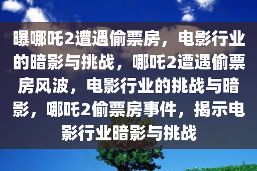 ruyue 第13页