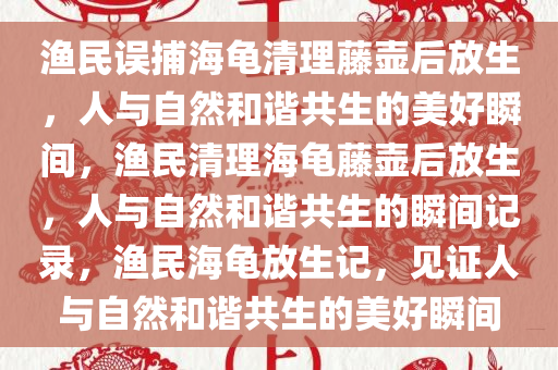 渔民误捕海龟清理藤壶后放生，人与自然和谐共生的美好瞬间，渔民清理海龟藤壶后放生，人与自然和谐共生的瞬间记录，渔民海龟放生记，见证人与自然和谐共生的美好瞬间