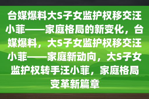 台媒爆料大S子女监护权移交汪小菲——家庭格局的新变化，台媒爆料，大S子女监护权移交汪小菲——家庭新动向，大S子女监护权转手汪小菲，家庭格局变革新篇章